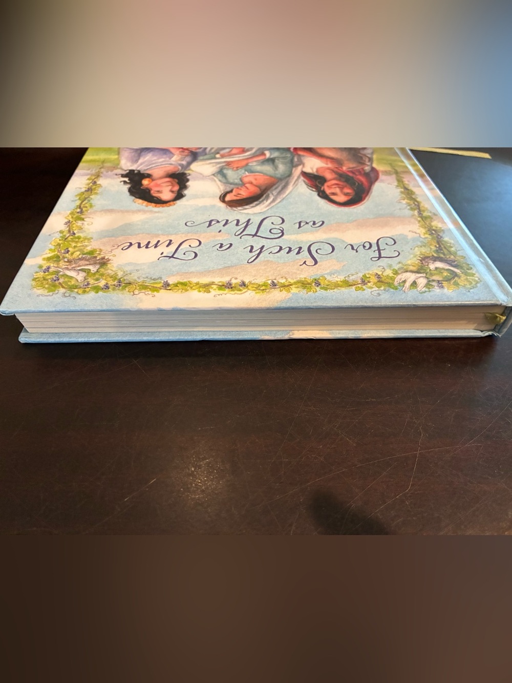"For Such a Time as This" Illustrated Book - Blue Cover - Picture 8 of 9